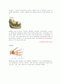 관절의종류,6대관절,테이핑 2페이지