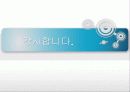 블로그(blog)의 정의와 종류 특징 및 현황과 문제점 사례 15페이지