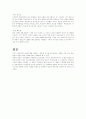 영화감상문 - 태극기 휘날리며 8페이지