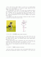 현미경의 구조와 사용방법 종류 9페이지