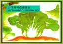나비가 된 배추벌레 동화 3페이지