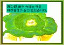 나비가 된 배추벌레 동화 4페이지