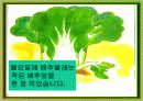 나비가 된 배추벌레 동화 7페이지