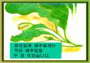 나비가 된 배추벌레 동화 8페이지