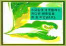 나비가 된 배추벌레 동화 9페이지
