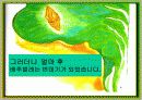 나비가 된 배추벌레 동화 13페이지