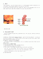 LAVH(복강경하 질식 자궁적출술) 4페이지