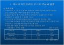 [경제,경영] 미국 서브프라임 모기지 불안과 국내금융시장에 미치는 영향.ppt 파워포인트 18페이지