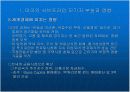 [경제,경영] 미국 서브프라임 모기지 불안과 국내금융시장에 미치는 영향.ppt 파워포인트 20페이지