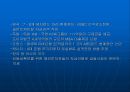 [경제,경영] 미국 서브프라임 모기지 불안과 국내금융시장에 미치는 영향.ppt 파워포인트 21페이지