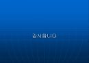 [경제,경영] 미국 서브프라임 모기지 불안과 국내금융시장에 미치는 영향.ppt 파워포인트 43페이지