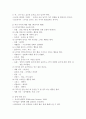 다문화 교육 24페이지