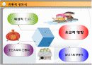 성(性)에 대한 정리자료 6페이지