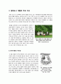 [생태도시]지속 가능한 친환경 생태도시의 정의와 특징 이해, 환경친화적 생태도시의 기능과 유형별 조성 사례, 생태도시와 지속가능한 개발 4페이지