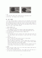 탁구와 탁구경기 이해 3페이지