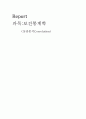 상관분석(correlation) 1페이지