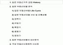 부동산 버블시장 분석 3페이지
