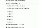 부동산 버블시장 분석 5페이지