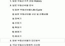 부동산 버블시장 분석 12페이지