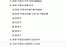 부동산 버블시장 분석 15페이지
