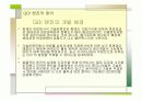 자동차 공학 GDI 분석 3페이지
