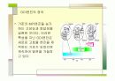 자동차 공학 GDI 분석 7페이지