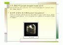 자동차 공학 GDI 분석 13페이지