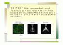 자동차 공학 GDI 분석 14페이지