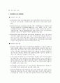 해외시장 진입의(방법, 절차) 유형과 고려 사항 -해외시장 진입 대상국가:캄보디아 8페이지