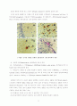 광우병(BSE : Bovine Spongiform Encephalopathy) 2페이지