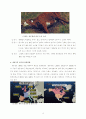 광우병(BSE : Bovine Spongiform Encephalopathy) 4페이지