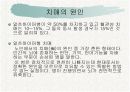 노인 치매 3페이지