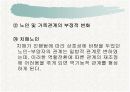 노인 치매 13페이지