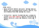 독일과 영국의 보건의료체계 29페이지