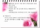 세계각국의 진료비 지불방식 5페이지