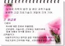 세계각국의 진료비 지불방식 6페이지