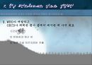 보건의료 체계 31페이지