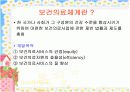 우리나라 보건의료체계 3페이지