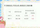 우리나라 보건의료체계 11페이지