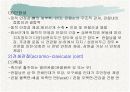 견관절과 견갑대 5페이지