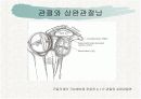 견관절과 견갑대 8페이지