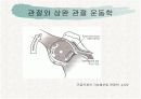 견관절과 견갑대 9페이지