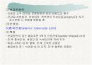 견관절과 견갑대 10페이지