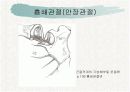 견관절과 견갑대 12페이지