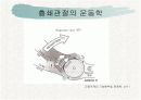 견관절과 견갑대 14페이지