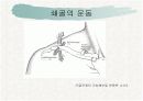 견관절과 견갑대 16페이지