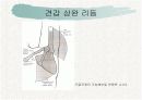 견관절과 견갑대 19페이지
