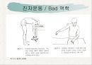 견관절과 견갑대 35페이지