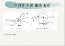 견관절과 견갑대 43페이지