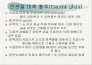 견관절과 견갑대 46페이지